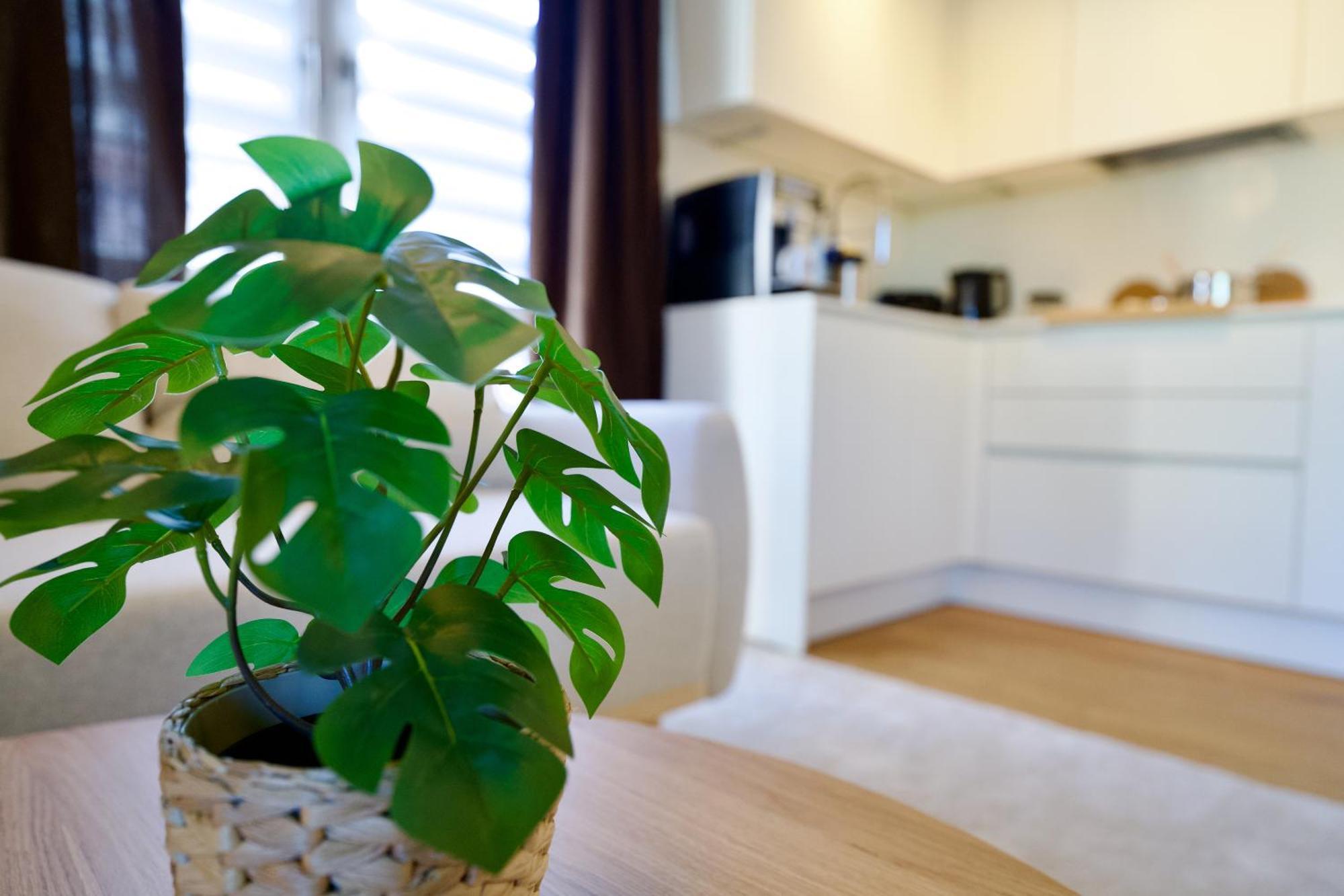 Edler Wohnraum Schwanenteich-Oase Mit Balkon, Kaffeevollautomat, Lift & Parkplatz Apartment Zwickau Bagian luar foto
